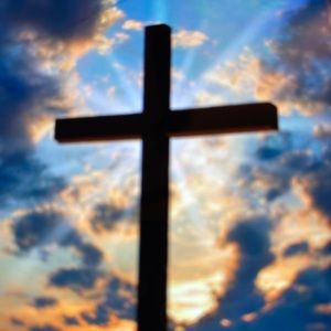 Meet your Posher, Alisa